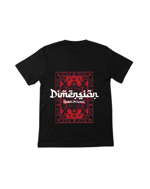 Dimension oversized t shirt