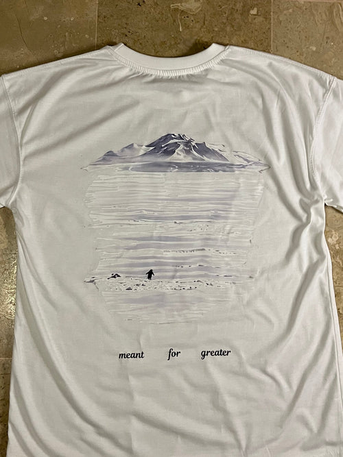 2 viral penguin oversized tshirt